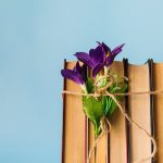 Книга с характер: Жажда за знание
